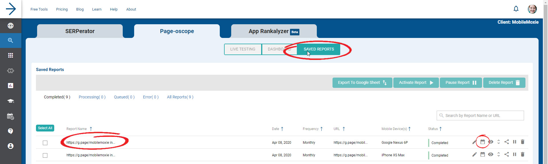 How to Monitor Your Google My Business (GMB) in the Page-oscope ...